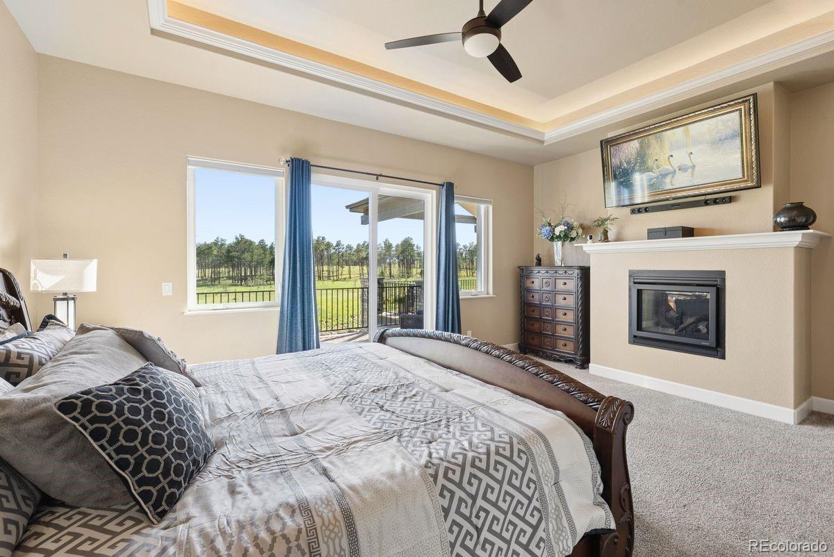 MLS Image #23 for 14894  snowy pine point,colorado springs, Colorado