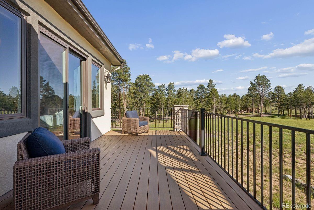 MLS Image #7 for 14894  snowy pine point,colorado springs, Colorado