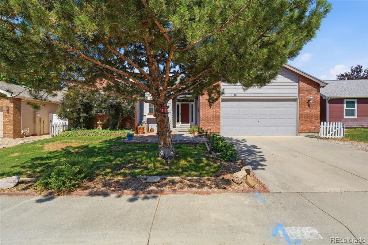 MLS Image #0 for 1116  summit court,windsor, Colorado