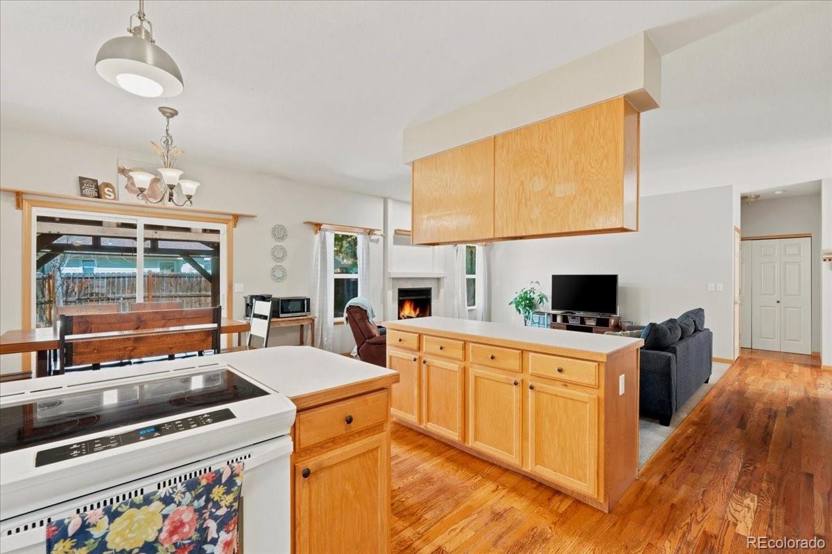 MLS Image #14 for 1116  summit court,windsor, Colorado