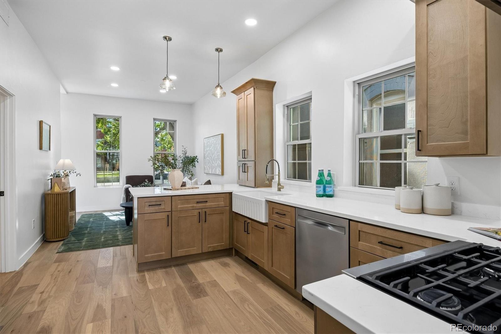 MLS Image #12 for 3230  vallejo street,denver, Colorado