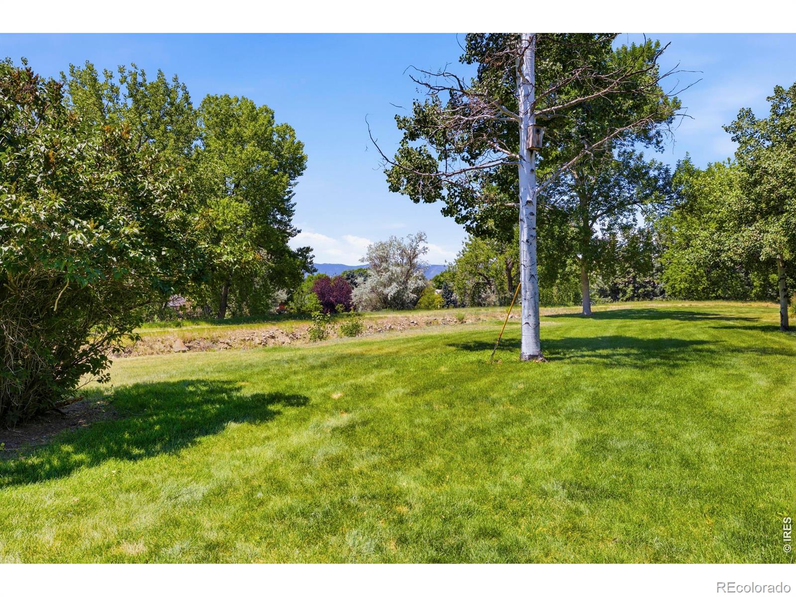 MLS Image #40 for 1643  adriel drive,fort collins, Colorado