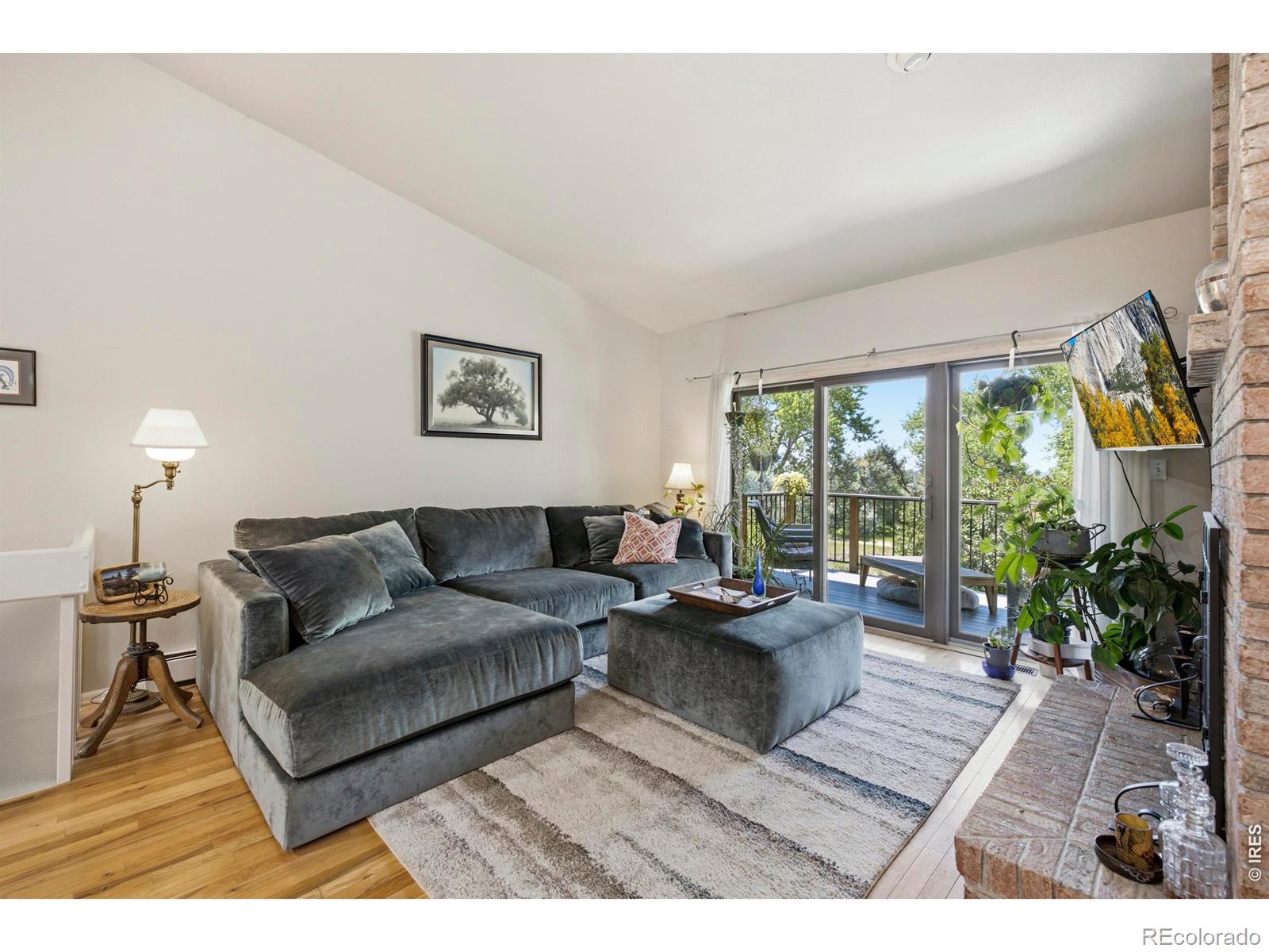 MLS Image #7 for 1643  adriel drive,fort collins, Colorado