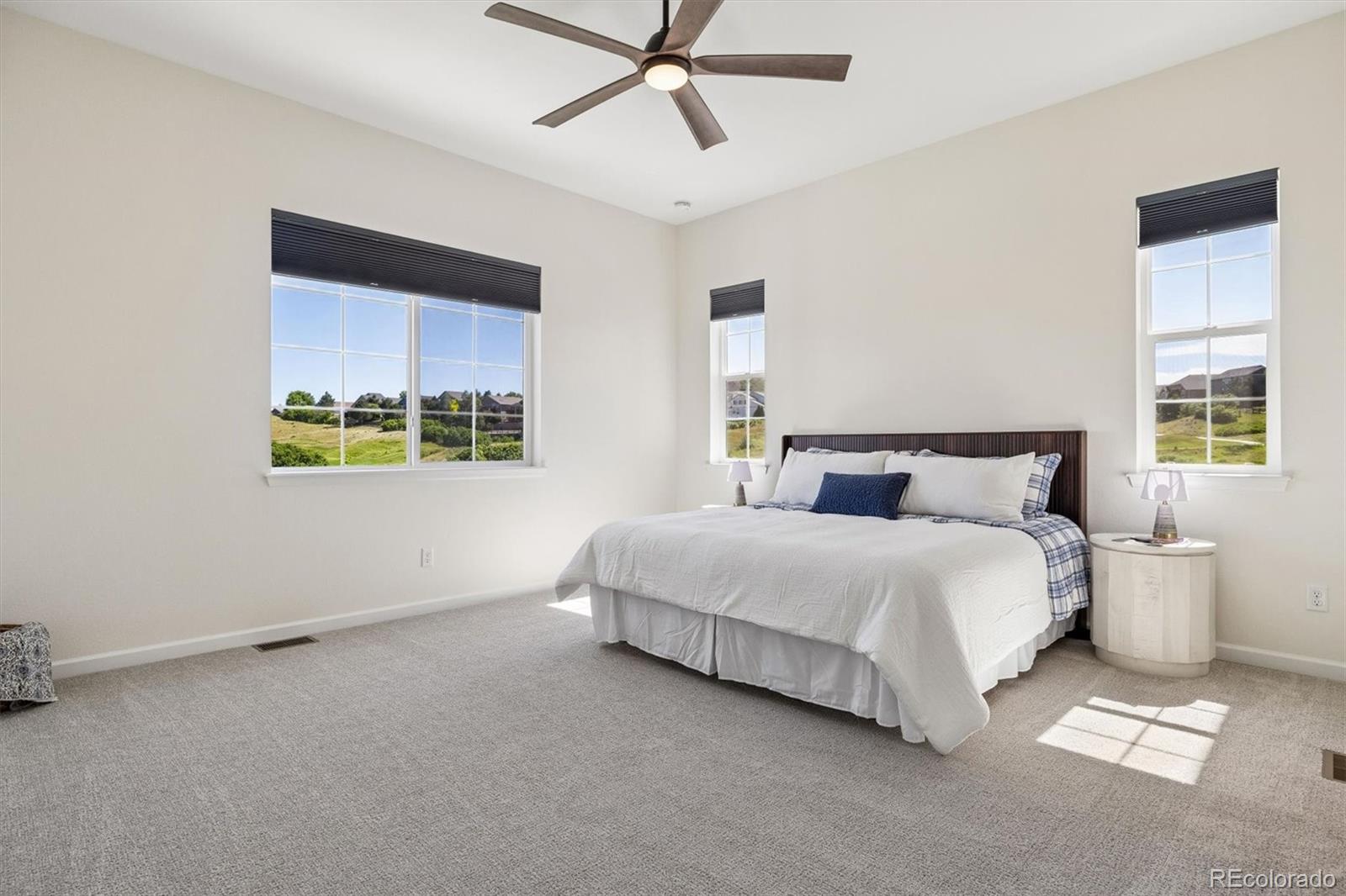 MLS Image #13 for 1298  melting snow way,castle rock, Colorado