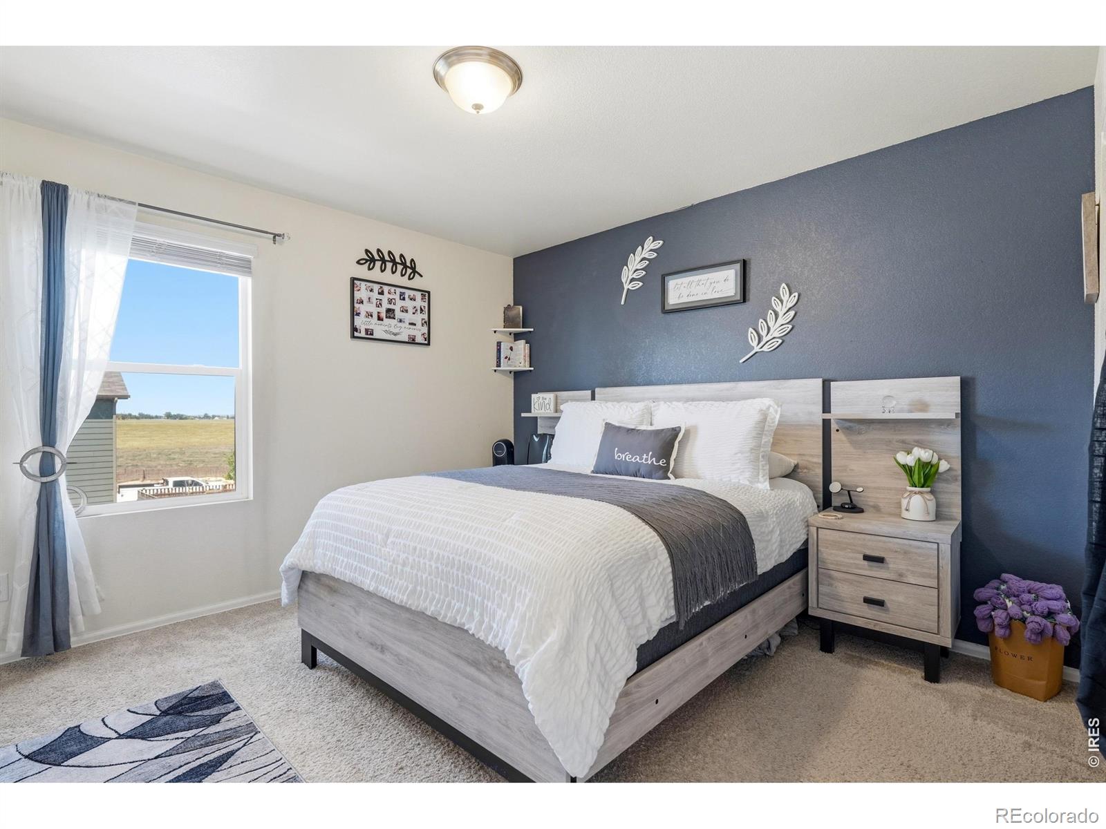 MLS Image #17 for 2333  shipman street,brighton, Colorado