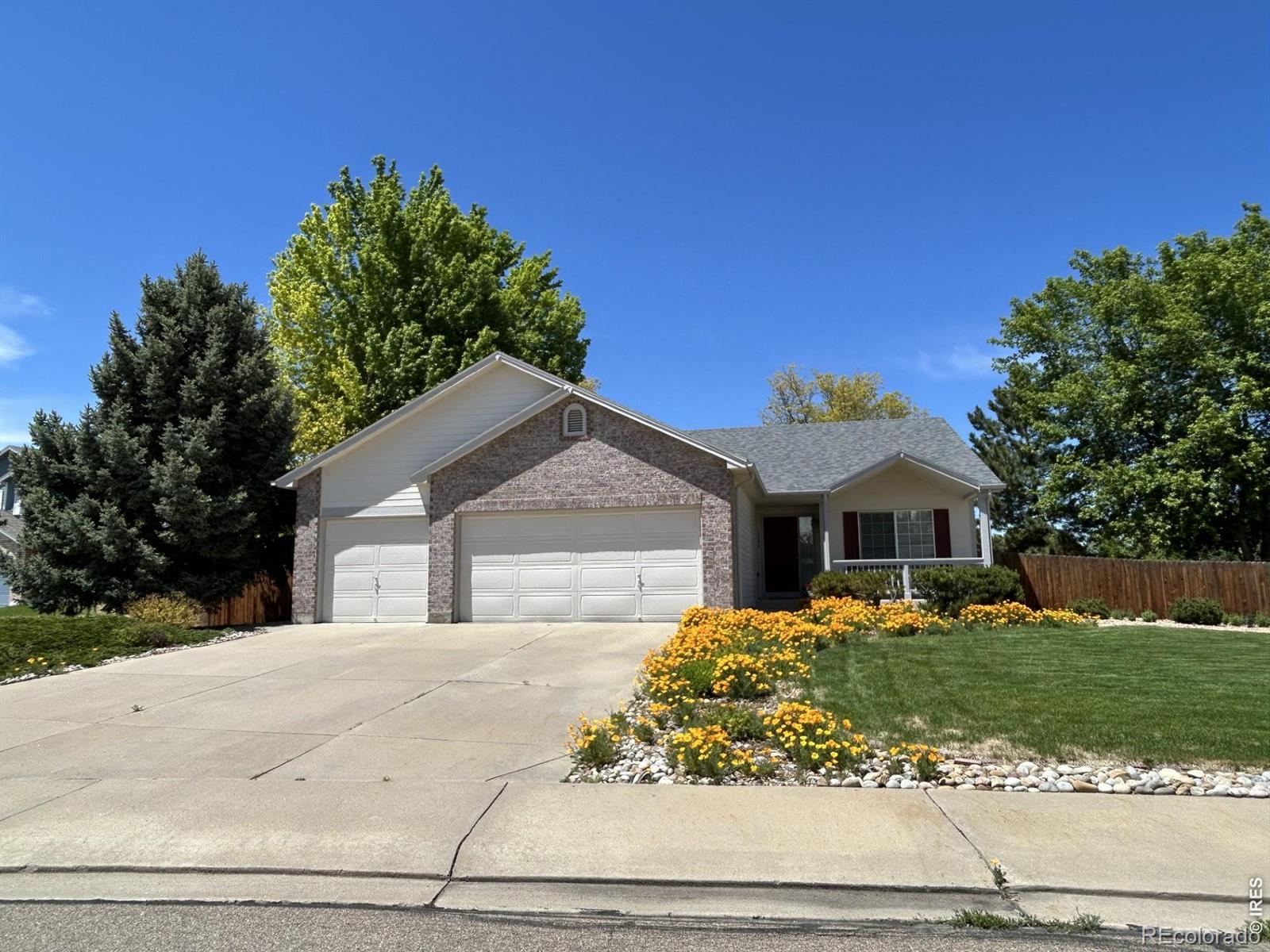 MLS Image #0 for 1504  willowbrook drive,longmont, Colorado
