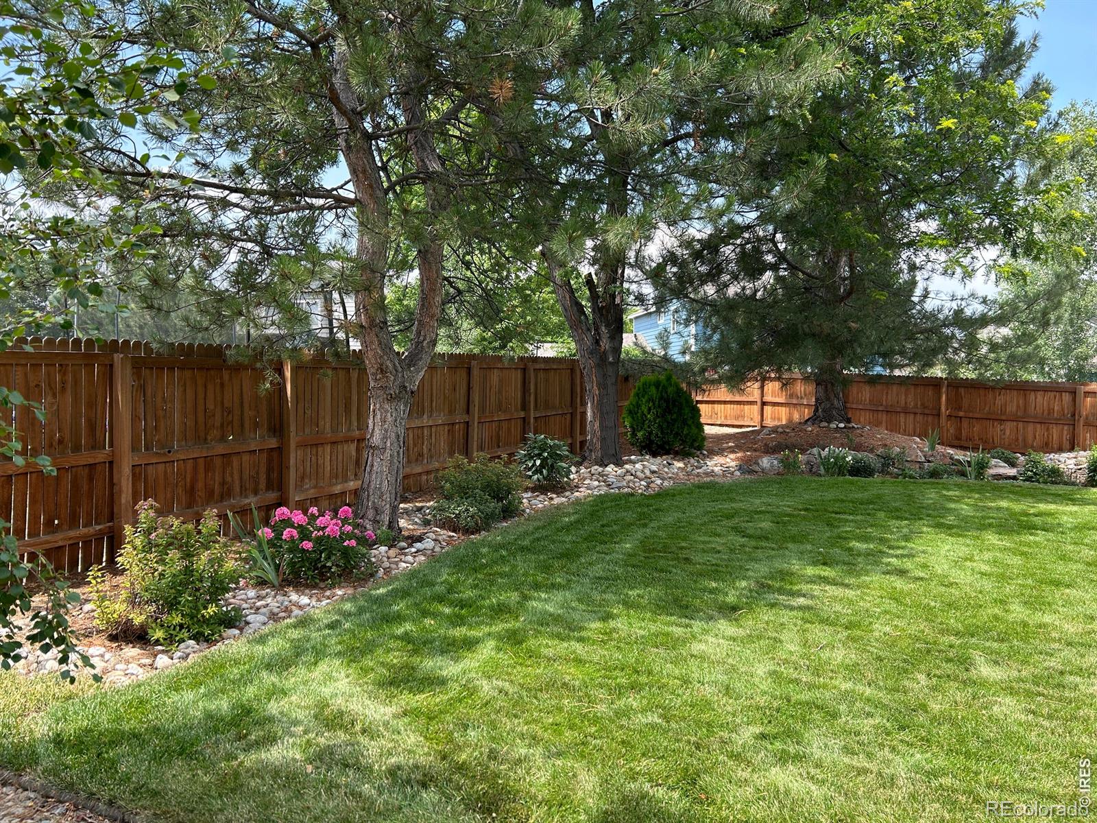 MLS Image #22 for 1504  willowbrook drive,longmont, Colorado