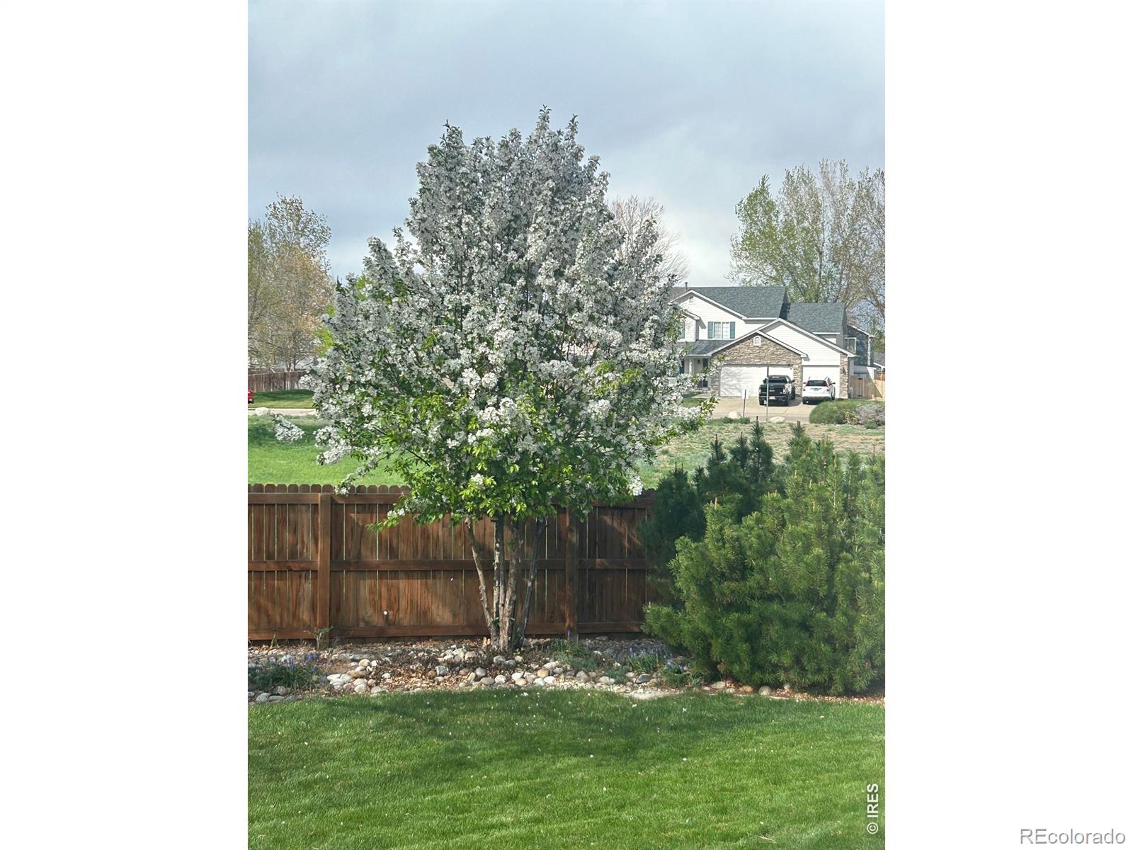 MLS Image #23 for 1504  willowbrook drive,longmont, Colorado