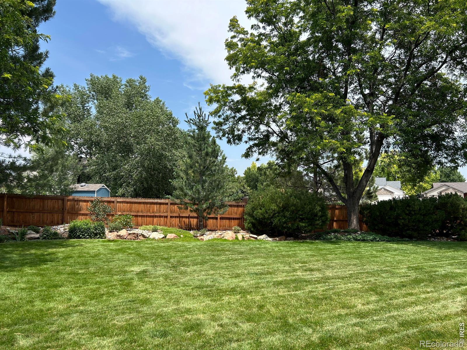 MLS Image #24 for 1504  willowbrook drive,longmont, Colorado