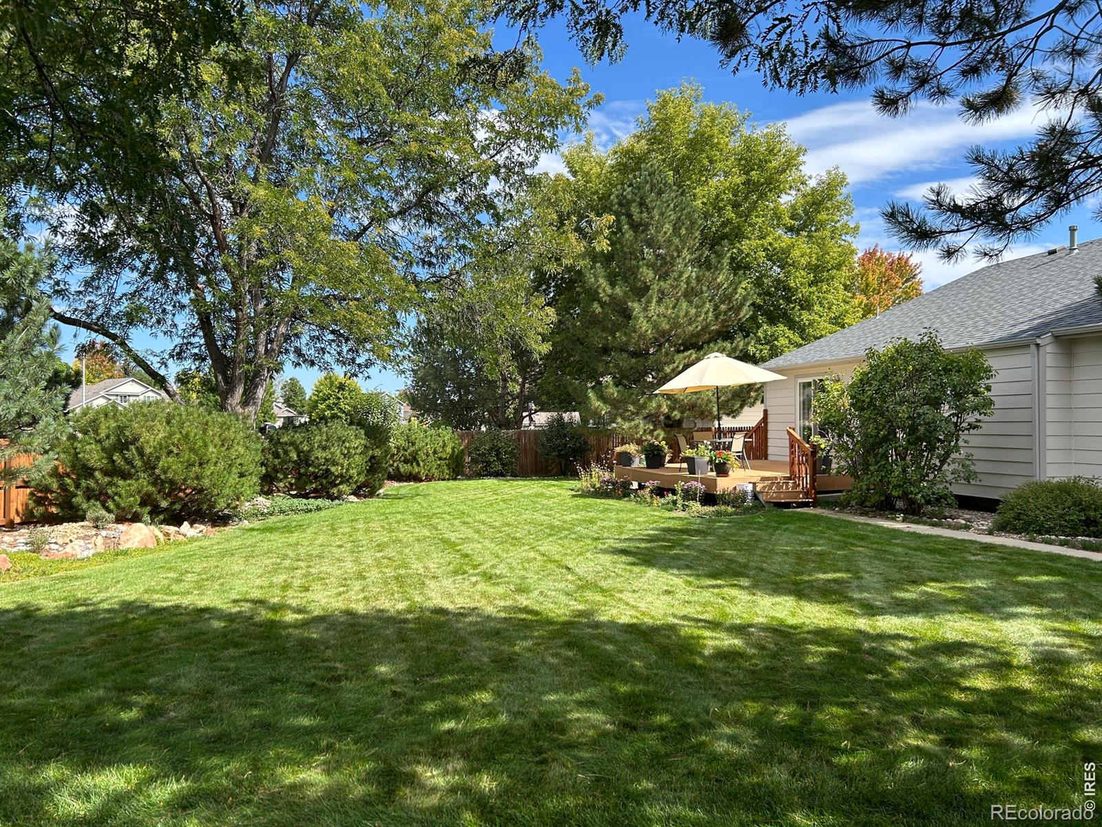 MLS Image #25 for 1504  willowbrook drive,longmont, Colorado