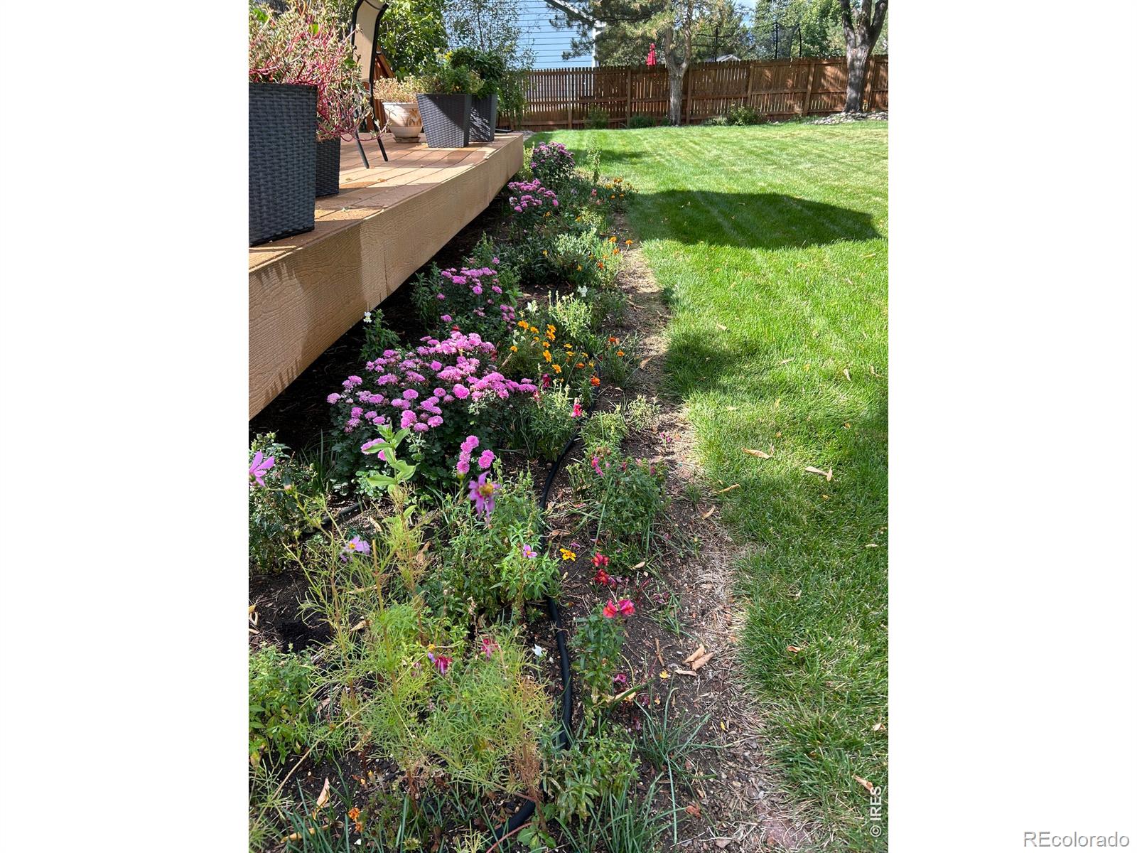 MLS Image #26 for 1504  willowbrook drive,longmont, Colorado