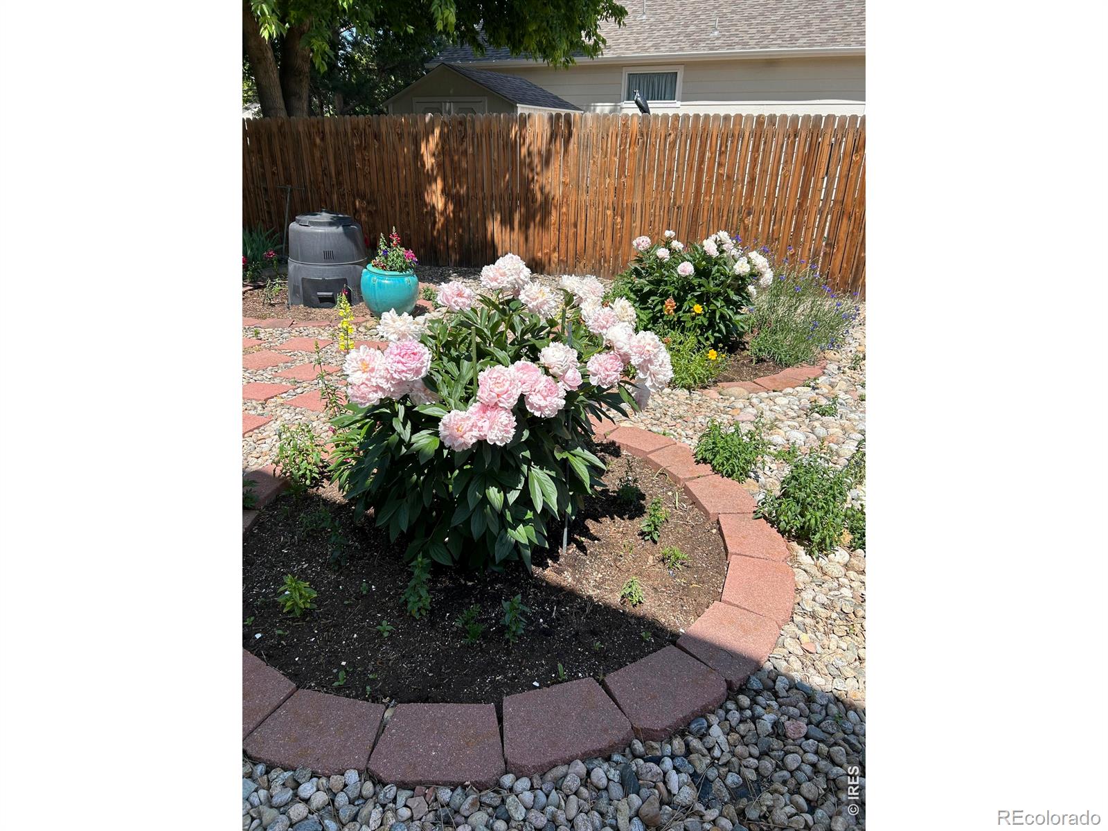 MLS Image #27 for 1504  willowbrook drive,longmont, Colorado
