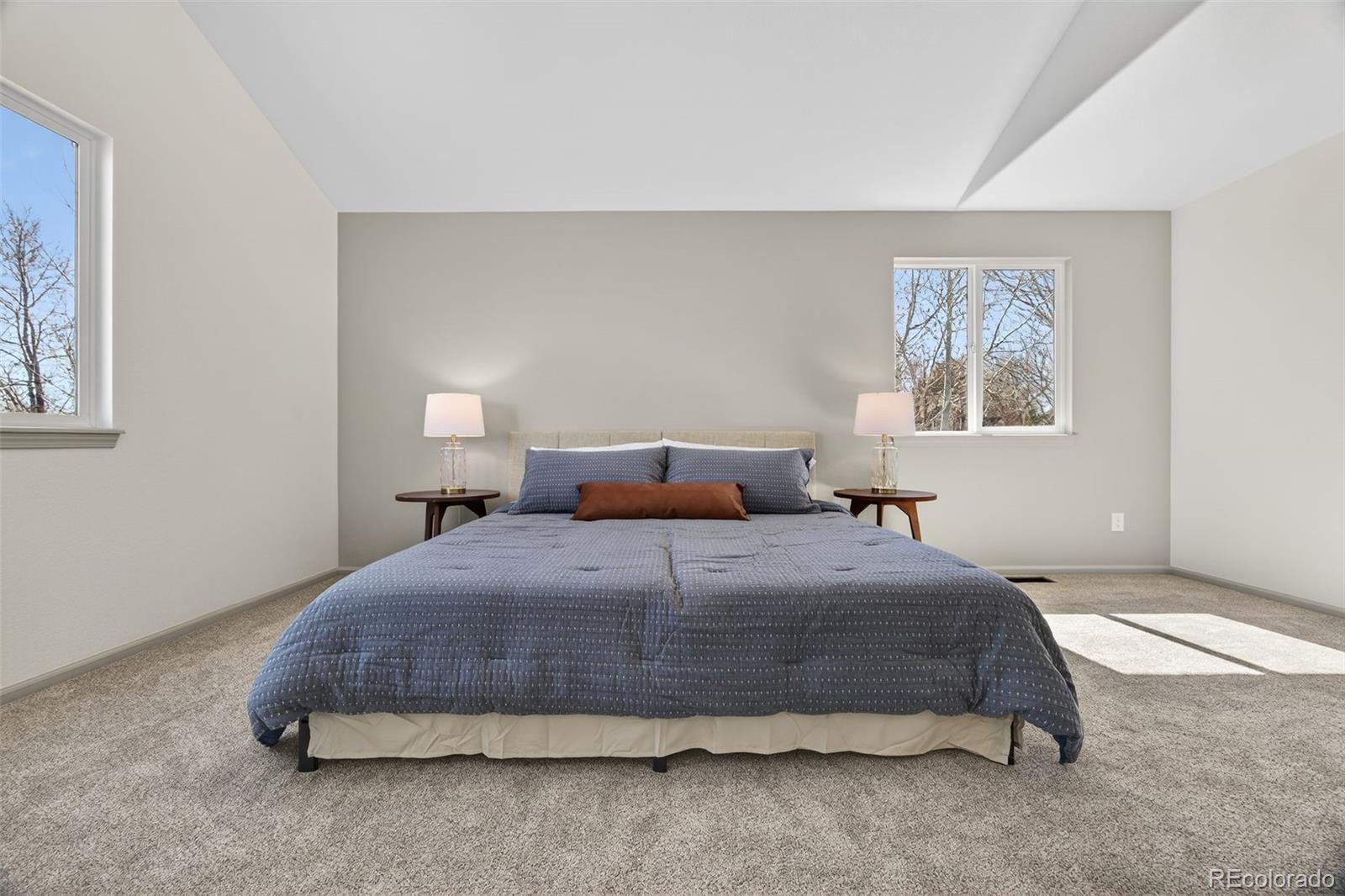 MLS Image #14 for 16396  wagon court,parker, Colorado