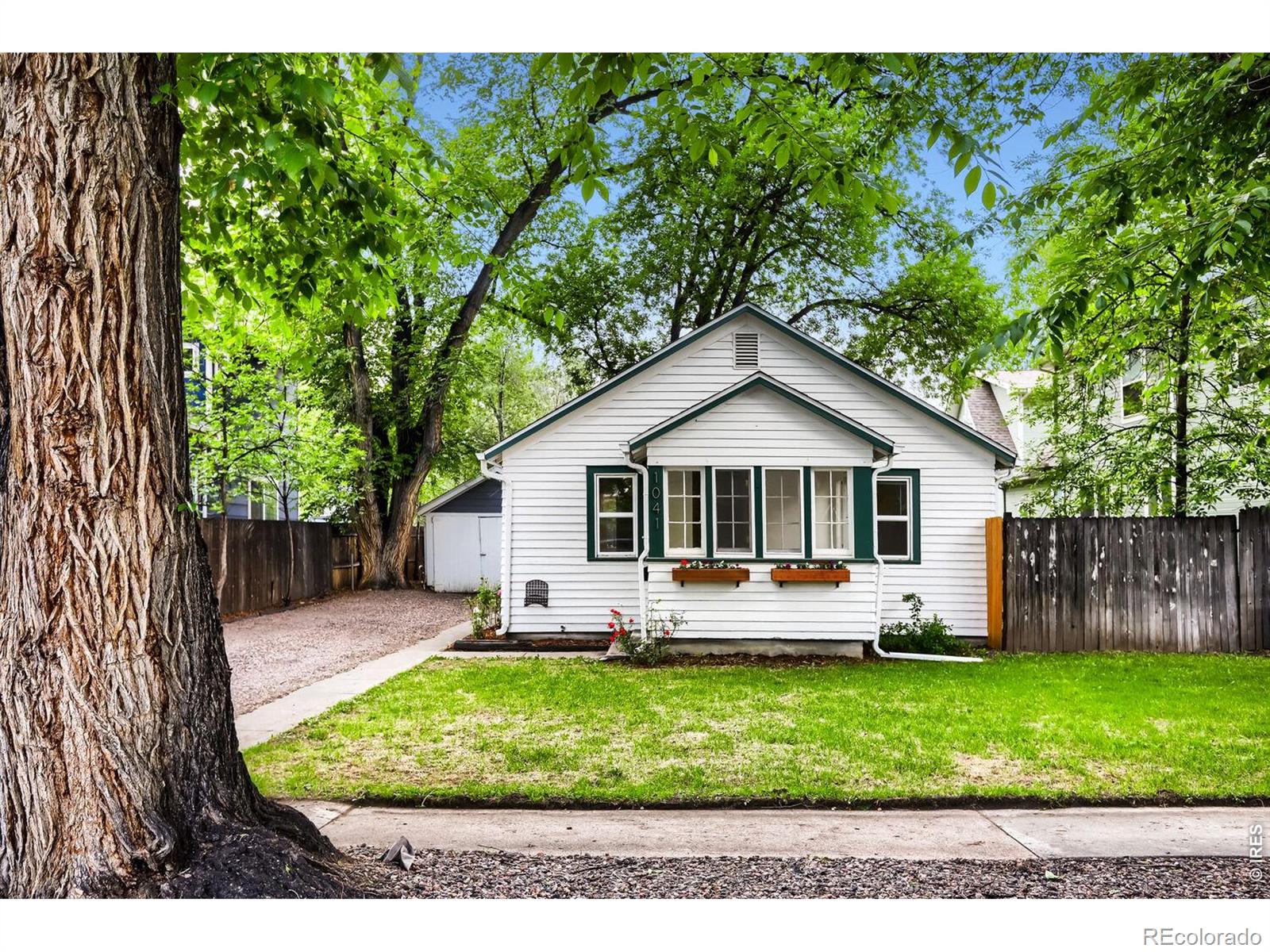 MLS Image #1 for 1041  pratt street,longmont, Colorado