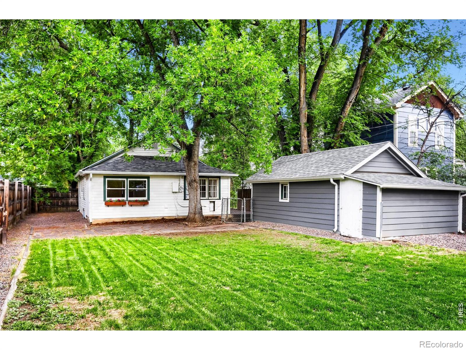 MLS Image #11 for 1041  pratt street,longmont, Colorado