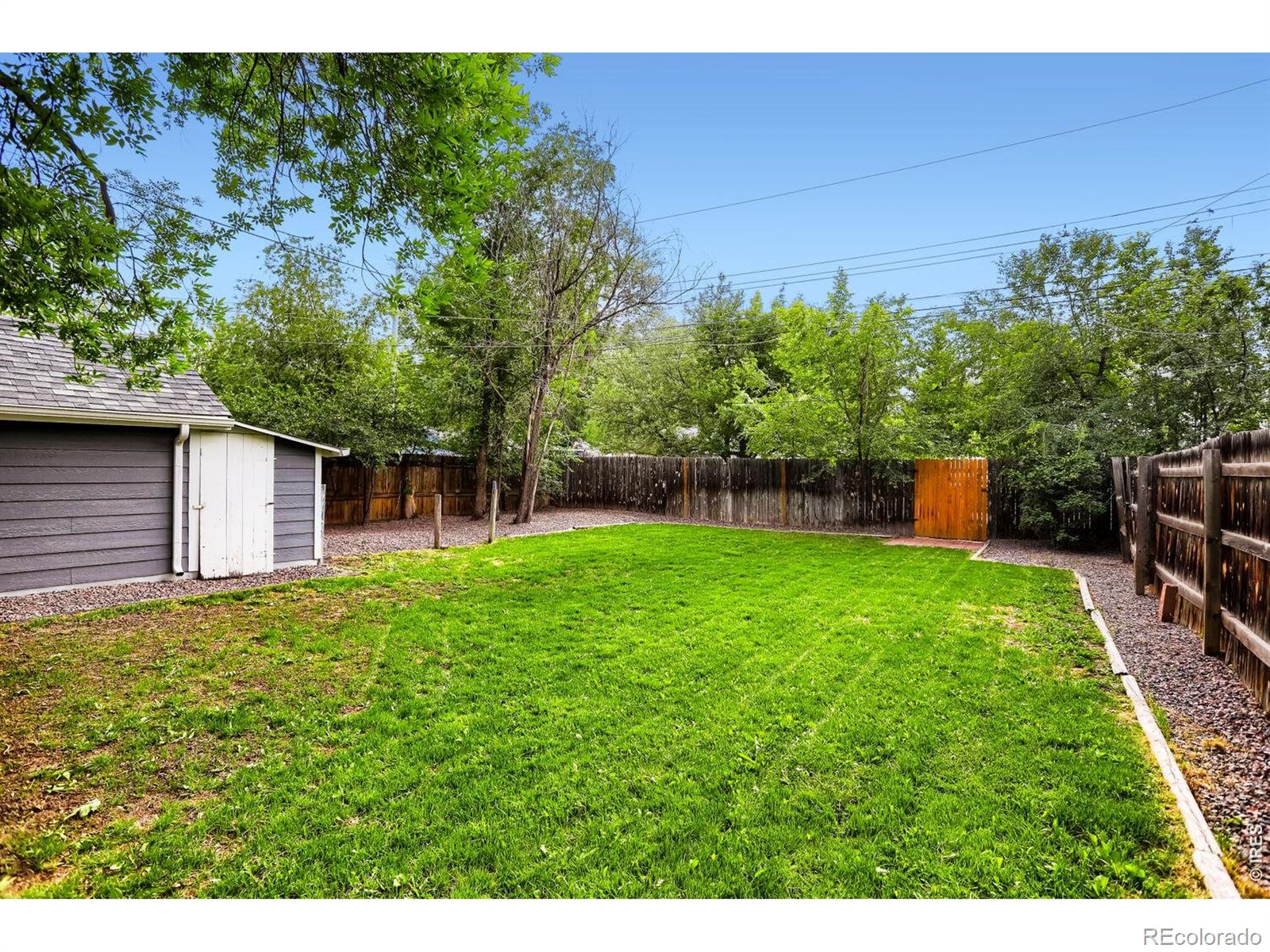 MLS Image #12 for 1041  pratt street,longmont, Colorado