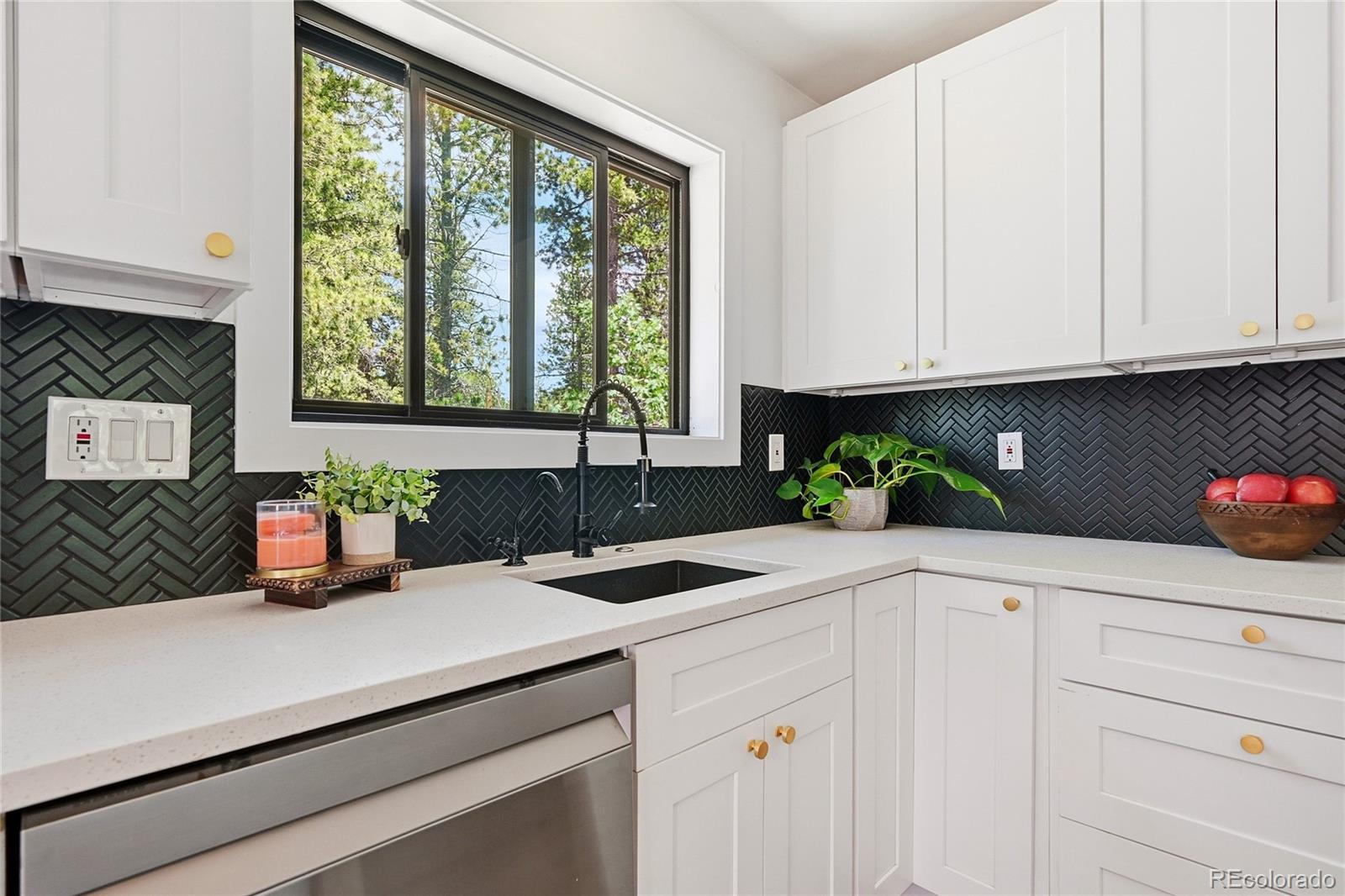 MLS Image #26 for 31556  griffin drive,conifer, Colorado