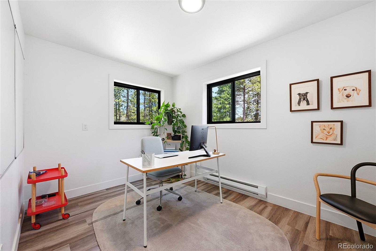 MLS Image #29 for 31556  griffin drive,conifer, Colorado
