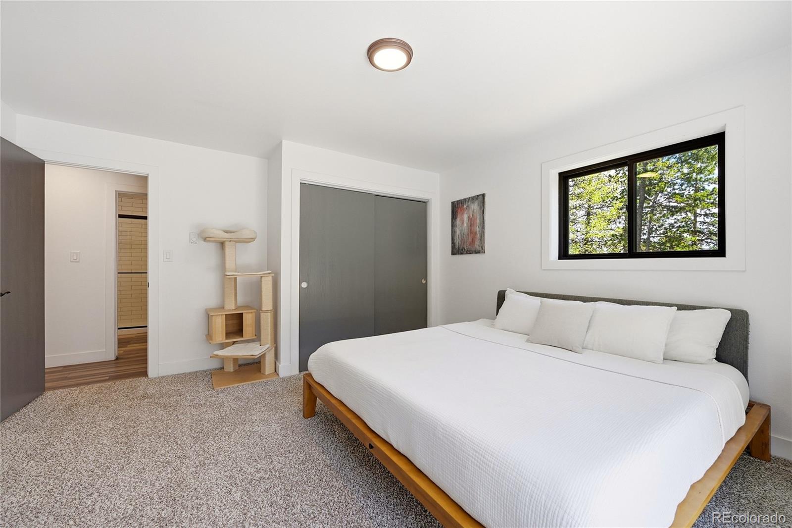 MLS Image #30 for 31556  griffin drive,conifer, Colorado