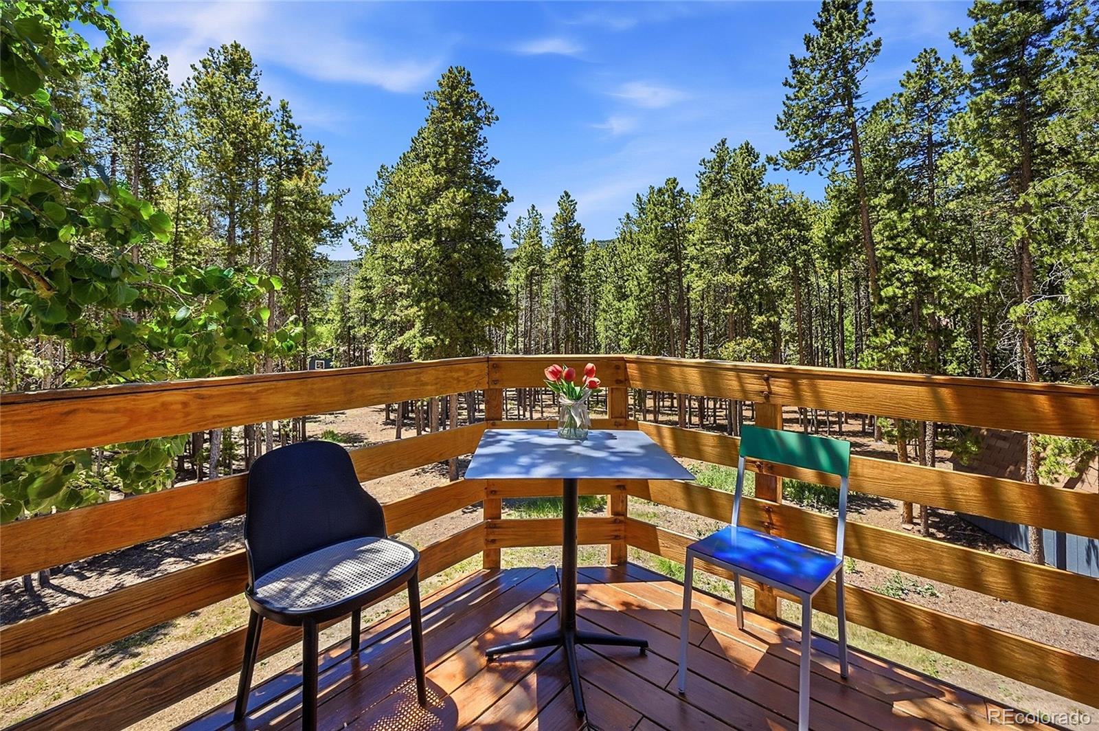 MLS Image #35 for 31556  griffin drive,conifer, Colorado
