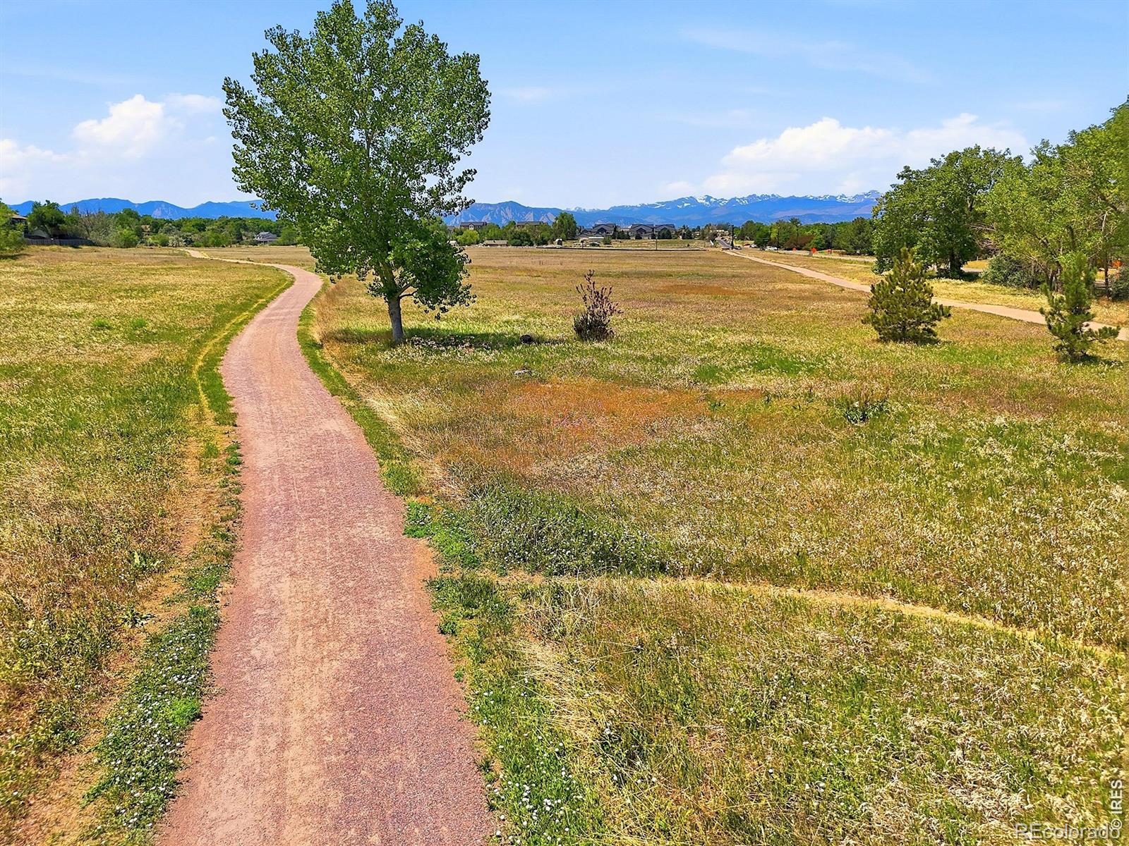 MLS Image #34 for 1308  alexandria street,lafayette, Colorado
