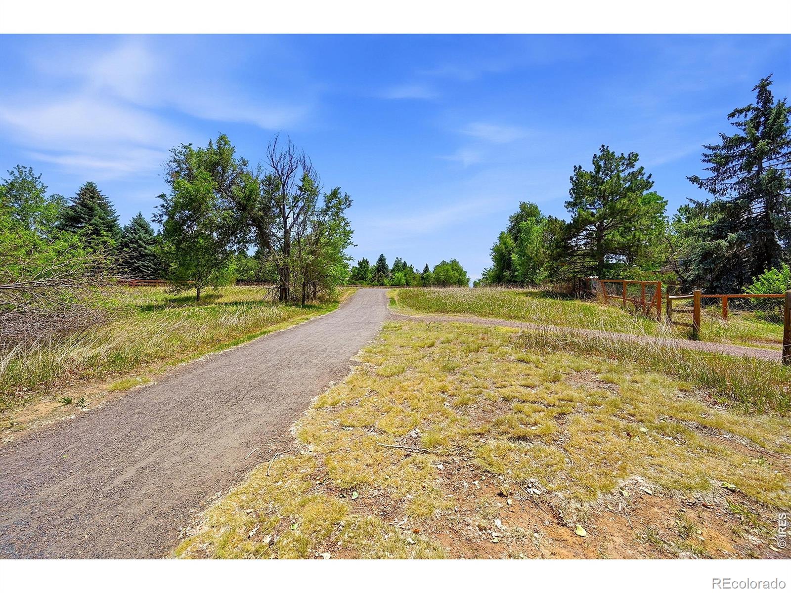 MLS Image #35 for 1308  alexandria street,lafayette, Colorado