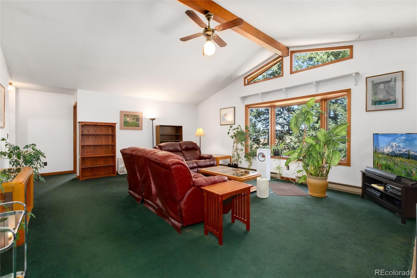 MLS Image #11 for 2924  valley park drive,larkspur, Colorado