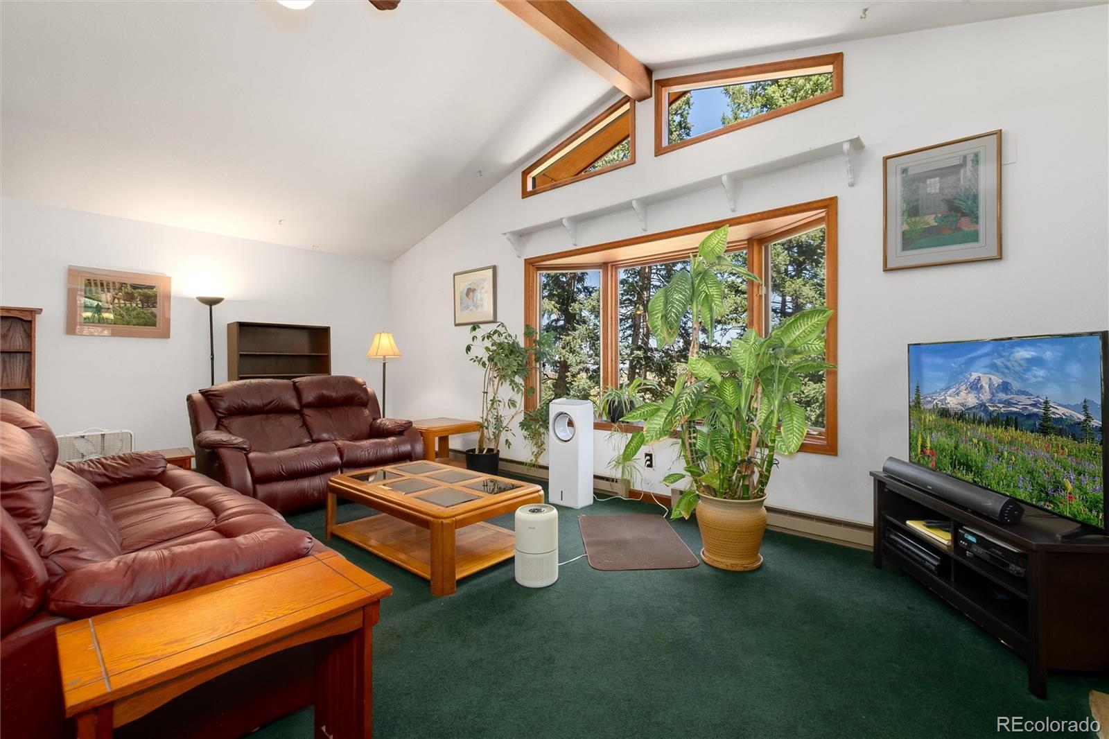 MLS Image #12 for 2924  valley park drive,larkspur, Colorado