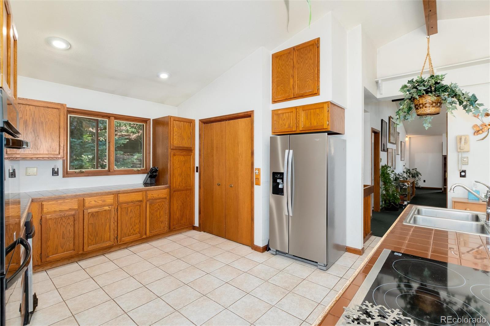 MLS Image #18 for 2924  valley park drive,larkspur, Colorado