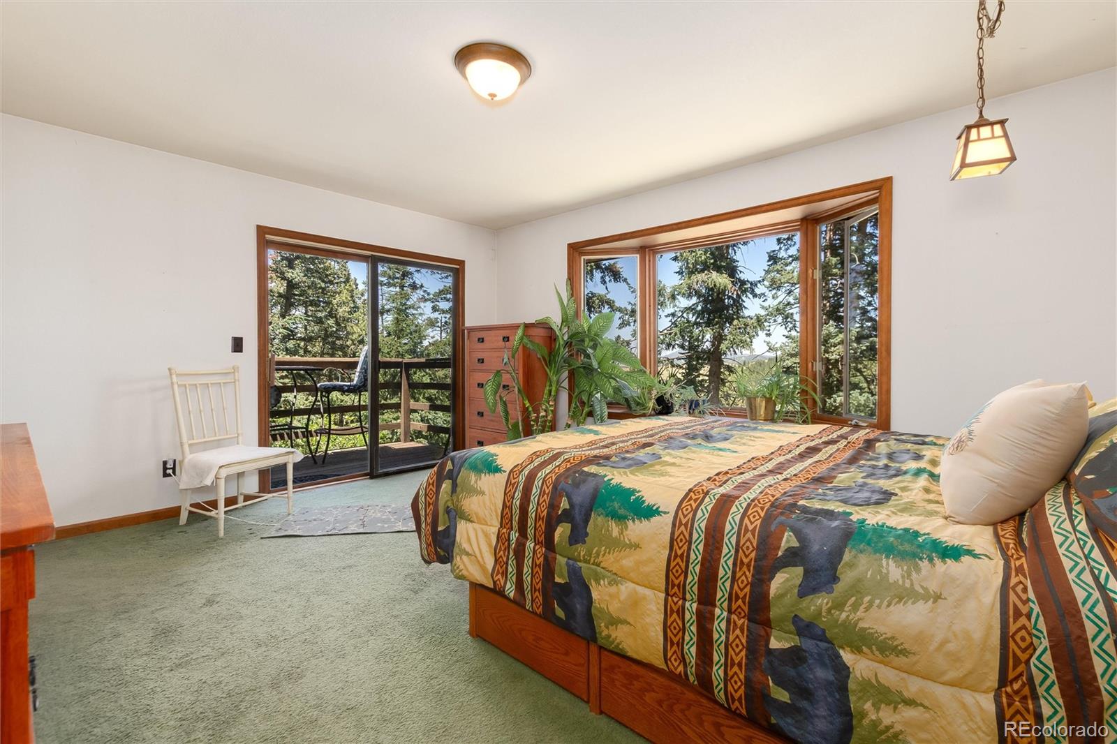MLS Image #25 for 2924  valley park drive,larkspur, Colorado