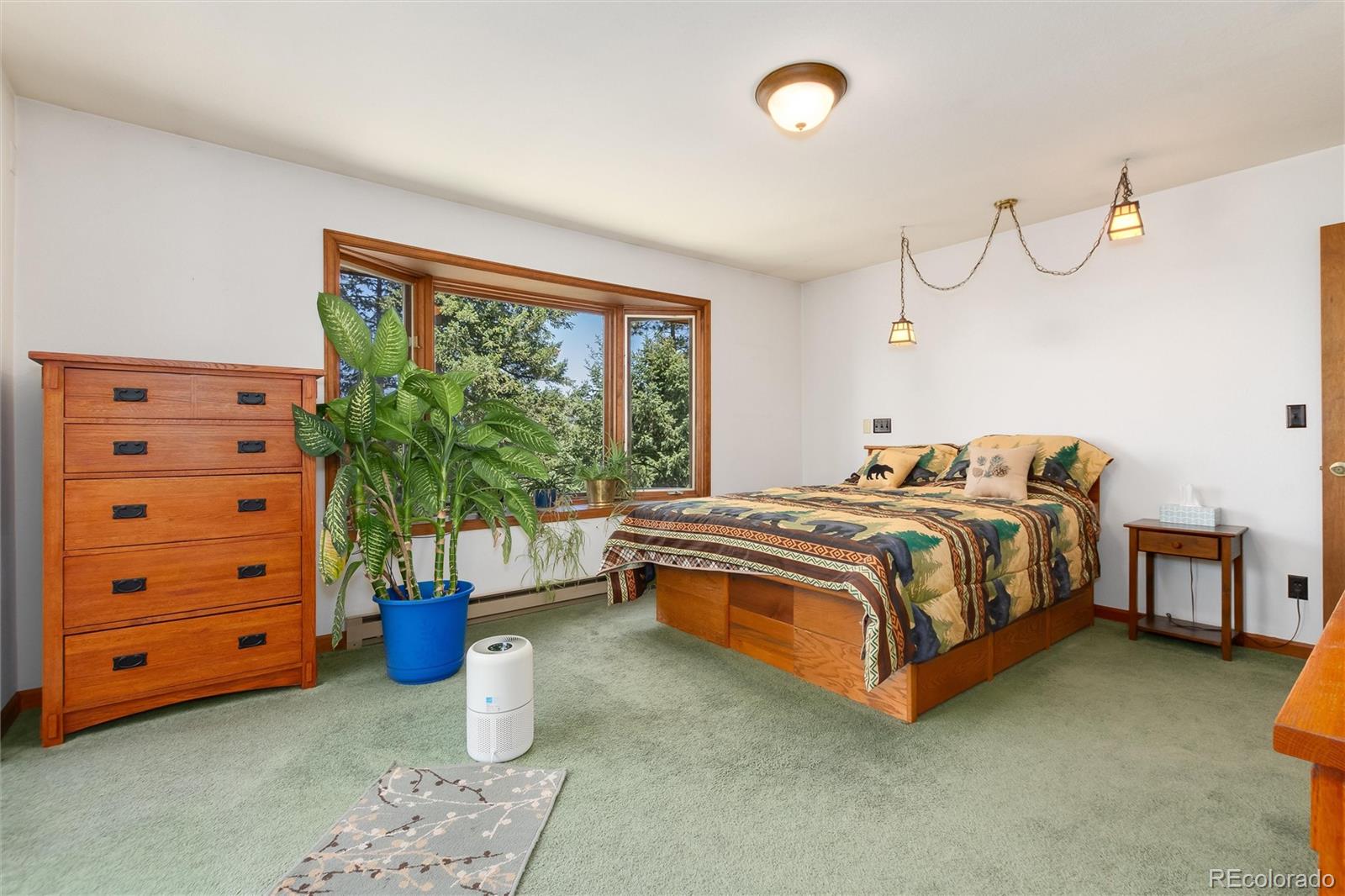 MLS Image #26 for 2924  valley park drive,larkspur, Colorado