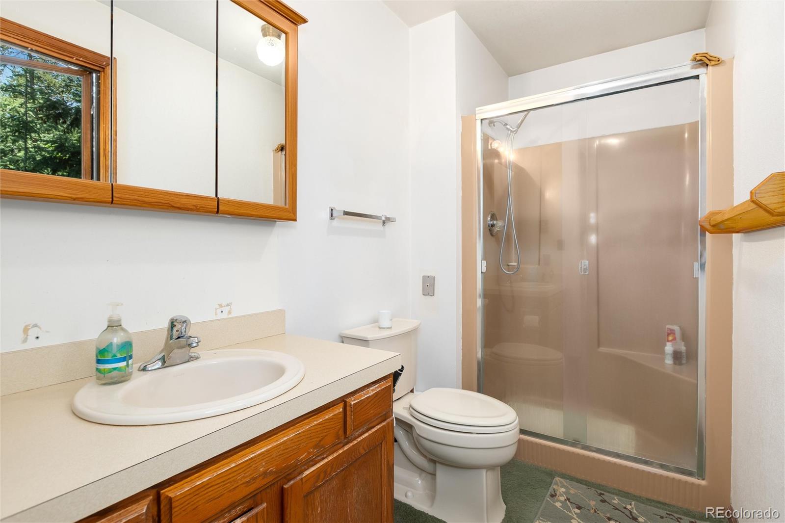 MLS Image #27 for 2924  valley park drive,larkspur, Colorado