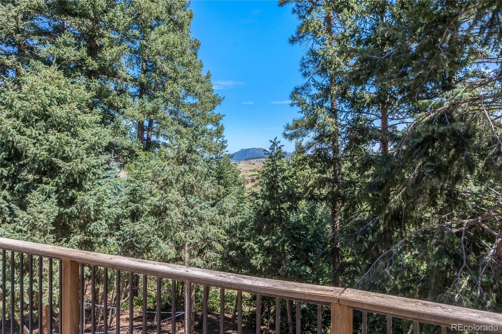 MLS Image #44 for 2924  valley park drive,larkspur, Colorado
