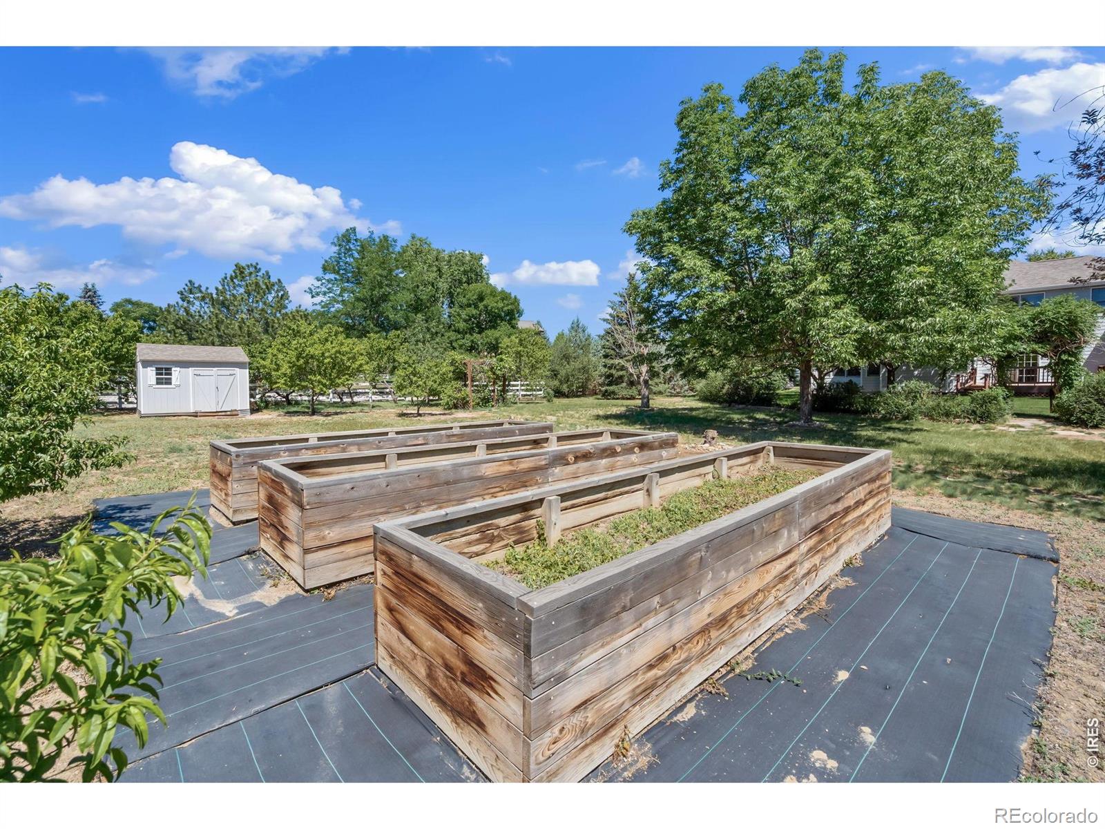 MLS Image #41 for 813  biscay lane,fort collins, Colorado