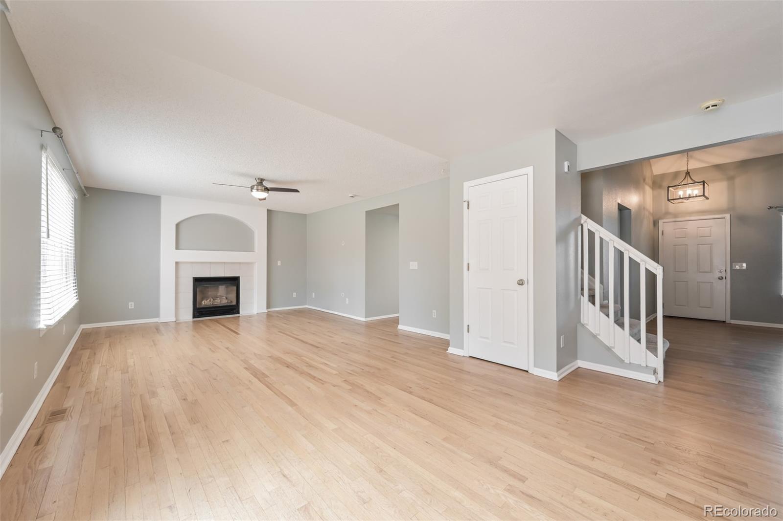 MLS Image #3 for 3610  morning glory drive,castle rock, Colorado