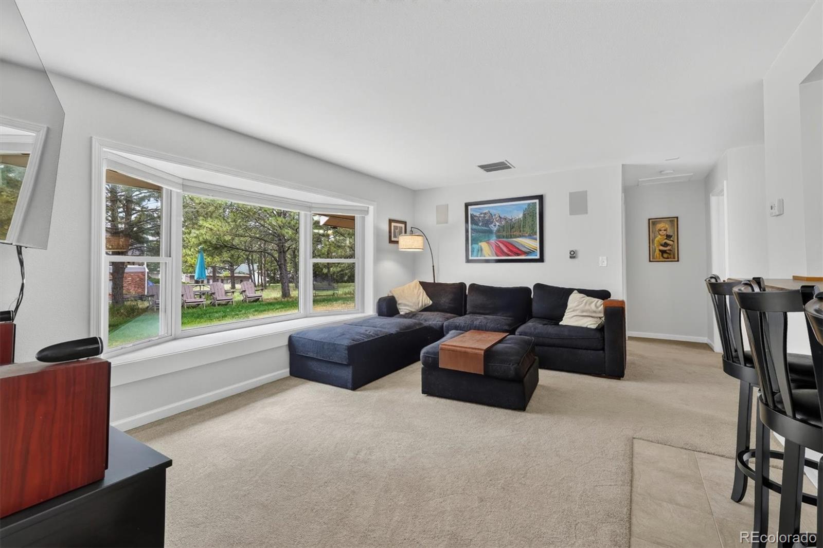 MLS Image #18 for 12857  piney lake road,parker, Colorado