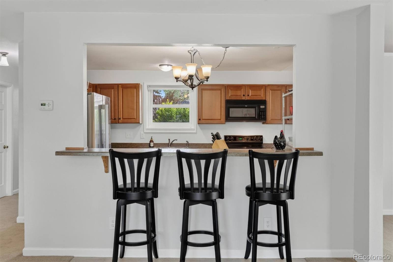 MLS Image #22 for 12857  piney lake road,parker, Colorado