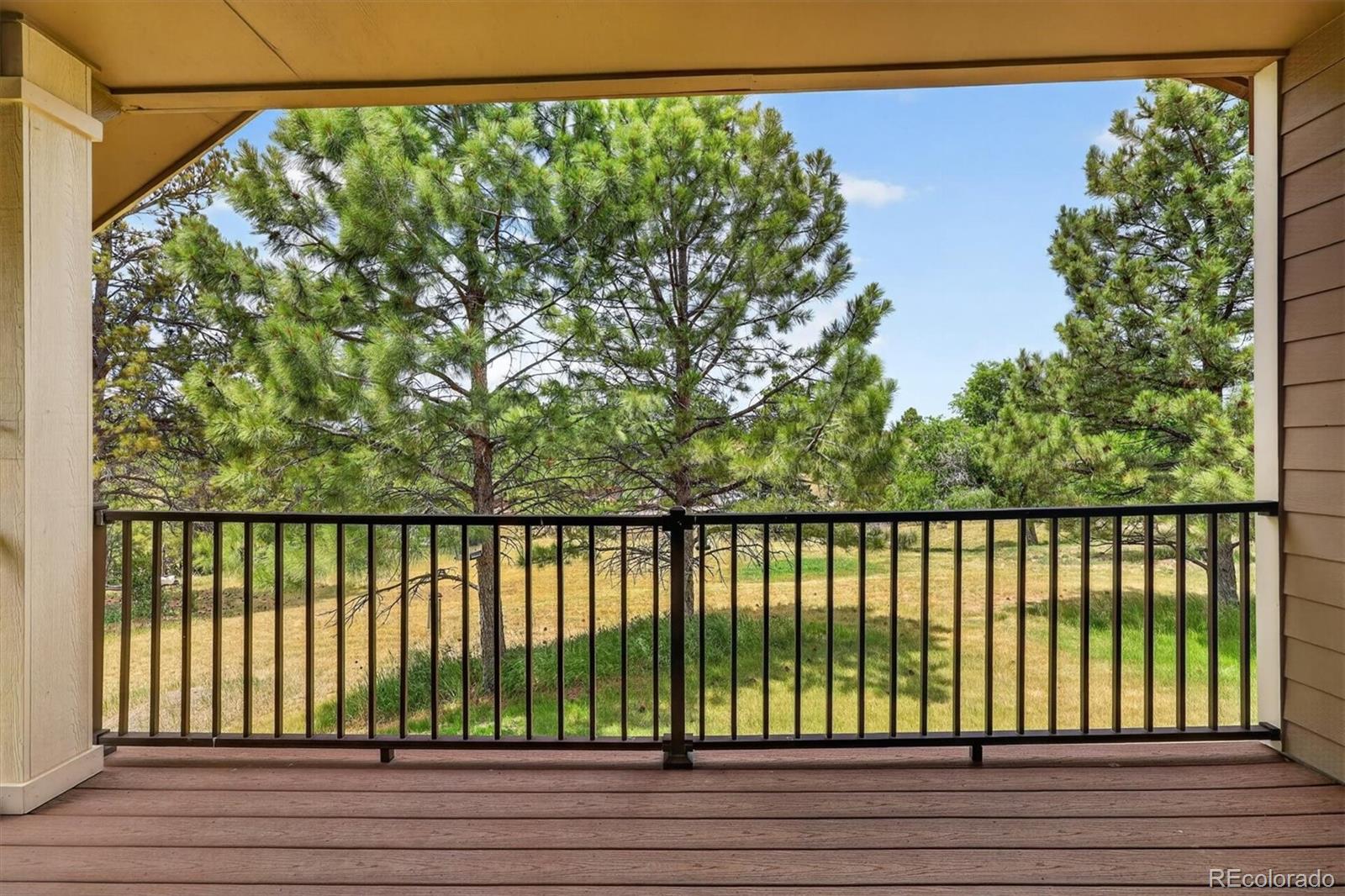MLS Image #44 for 12857  piney lake road,parker, Colorado