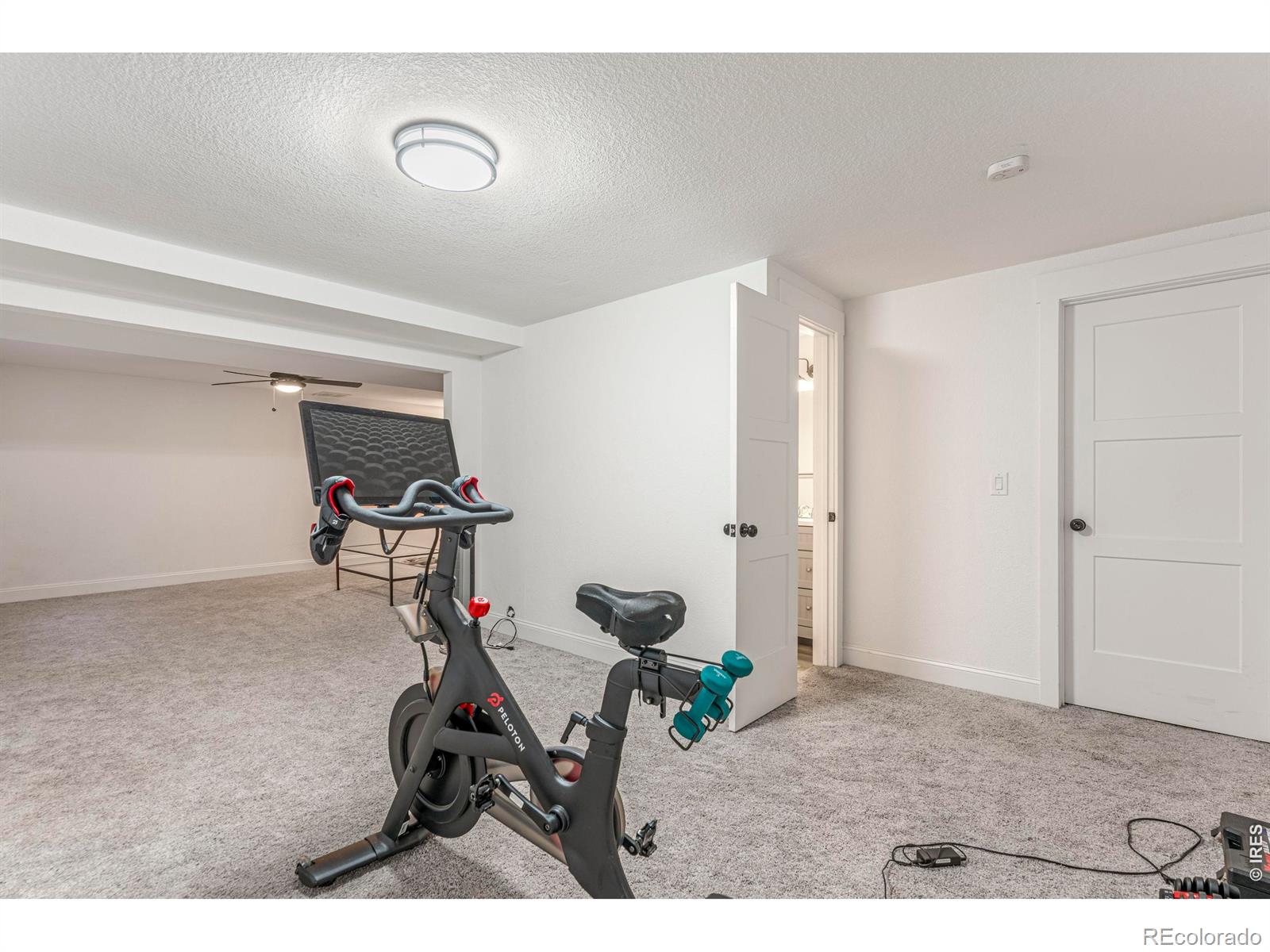 MLS Image #22 for 1425  clementine court,fort collins, Colorado