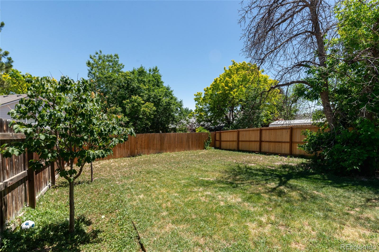 MLS Image #24 for 13342  birch circle,thornton, Colorado