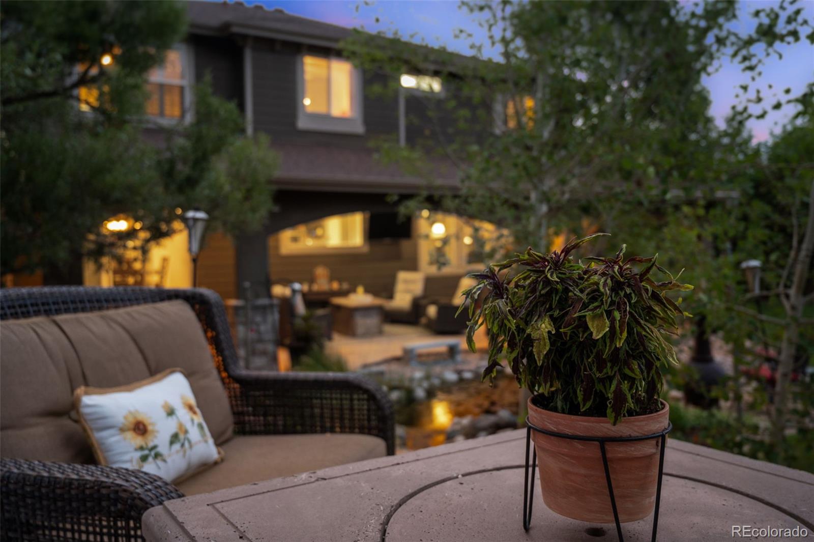 MLS Image #45 for 10676  chandon place,littleton, Colorado