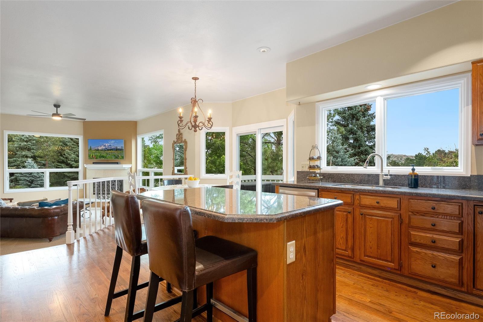 MLS Image #10 for 24  desert willow lane,littleton, Colorado