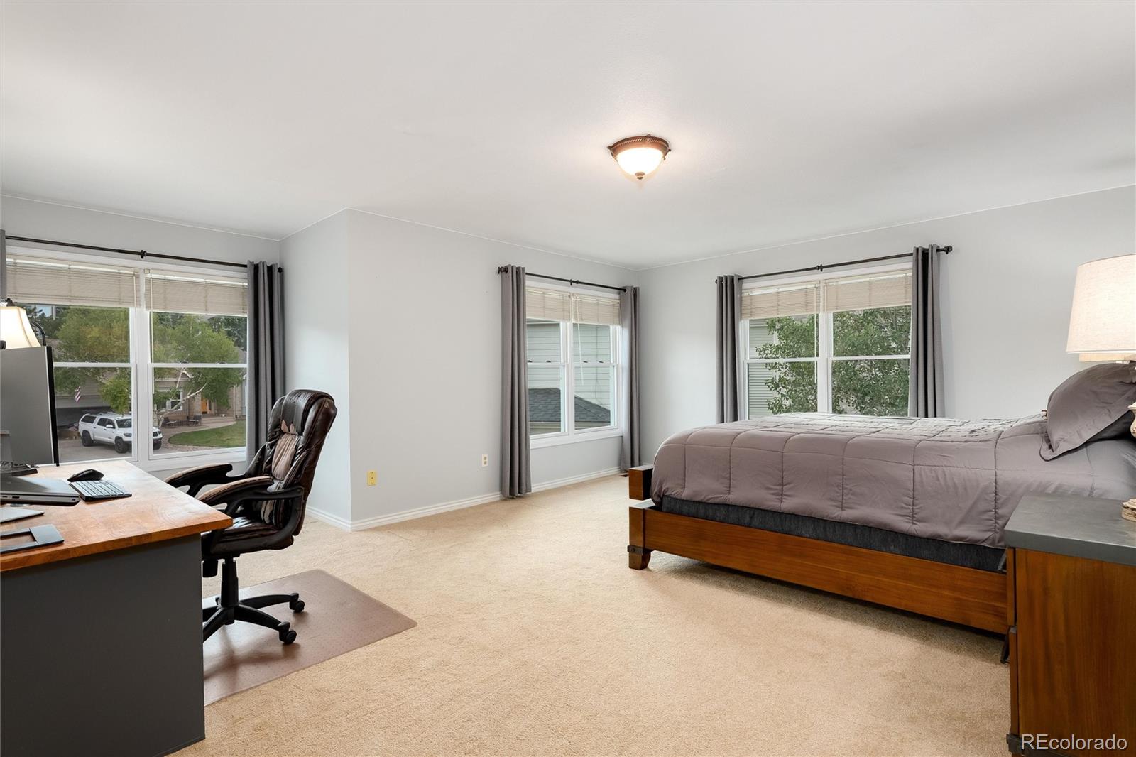 MLS Image #31 for 24  desert willow lane,littleton, Colorado