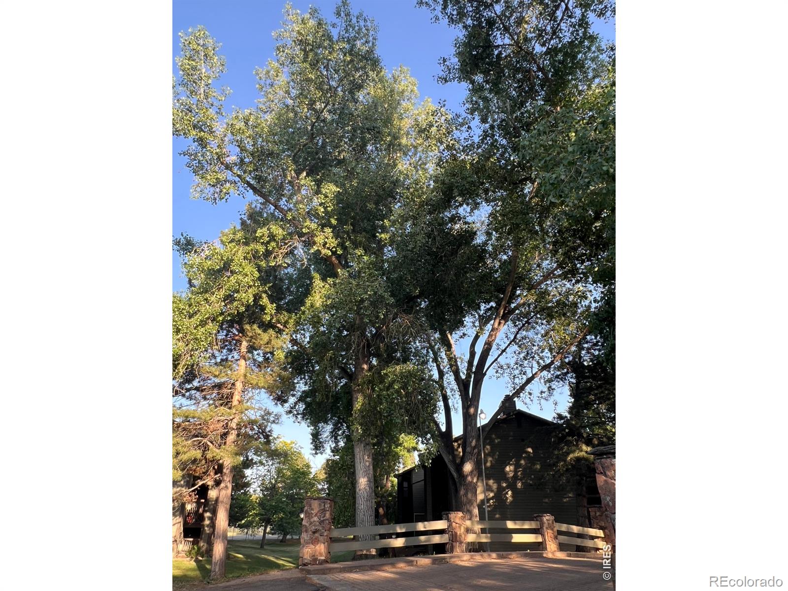 MLS Image #29 for 925  columbia road,fort collins, Colorado