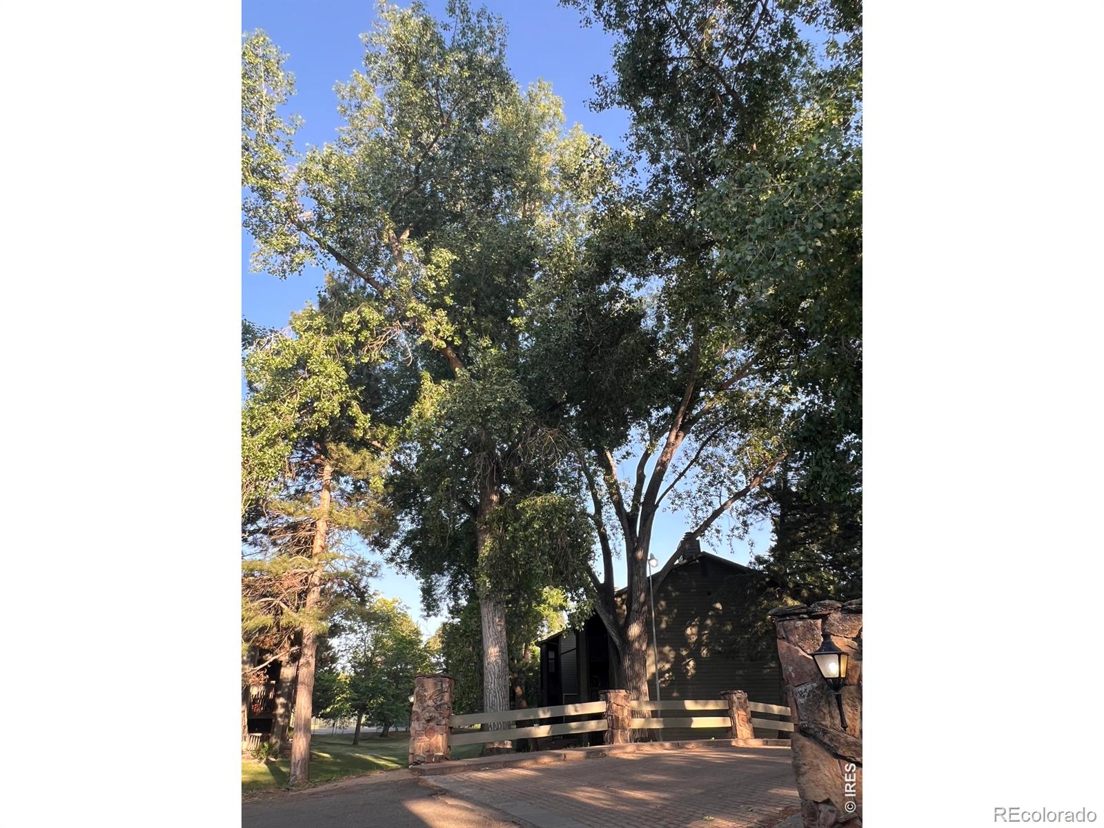 MLS Image #31 for 925  columbia road,fort collins, Colorado