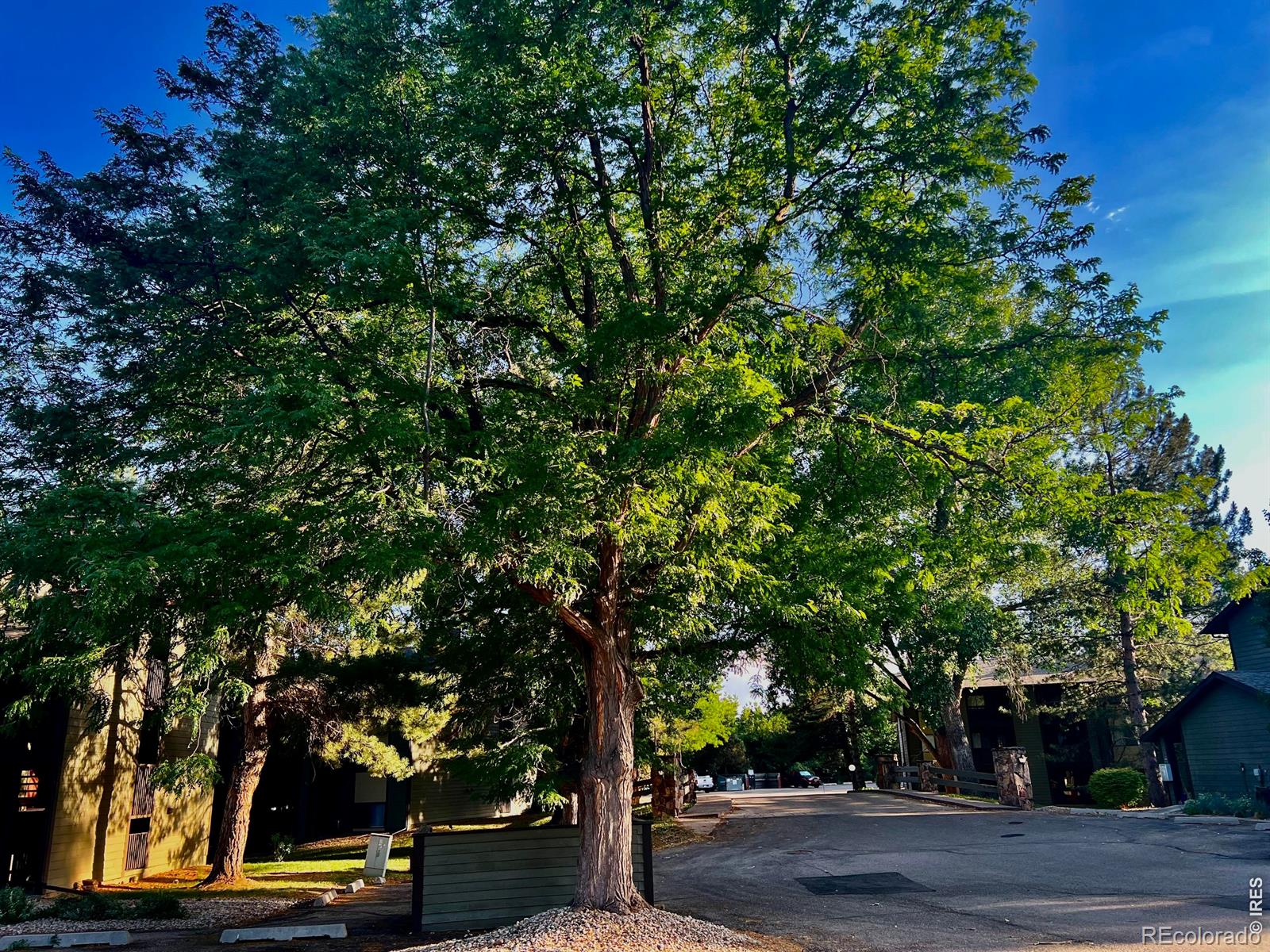 MLS Image #32 for 925  columbia road,fort collins, Colorado