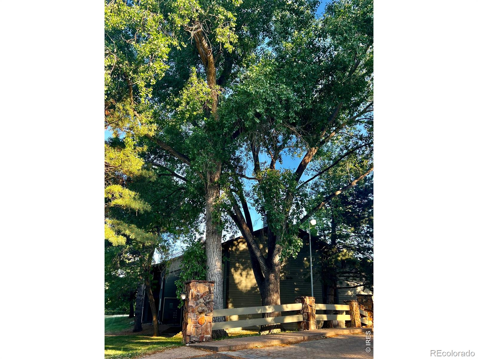 MLS Image #33 for 925  columbia road,fort collins, Colorado