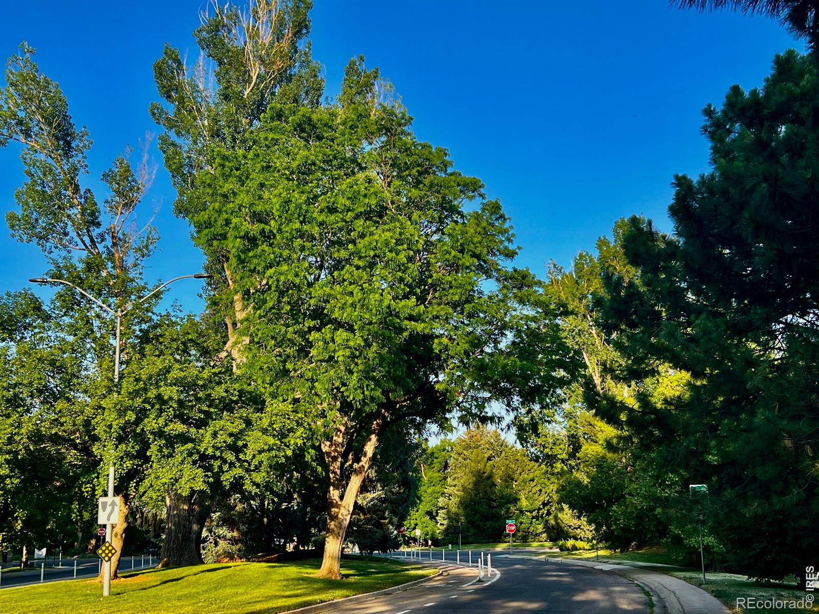 MLS Image #37 for 925  columbia road,fort collins, Colorado