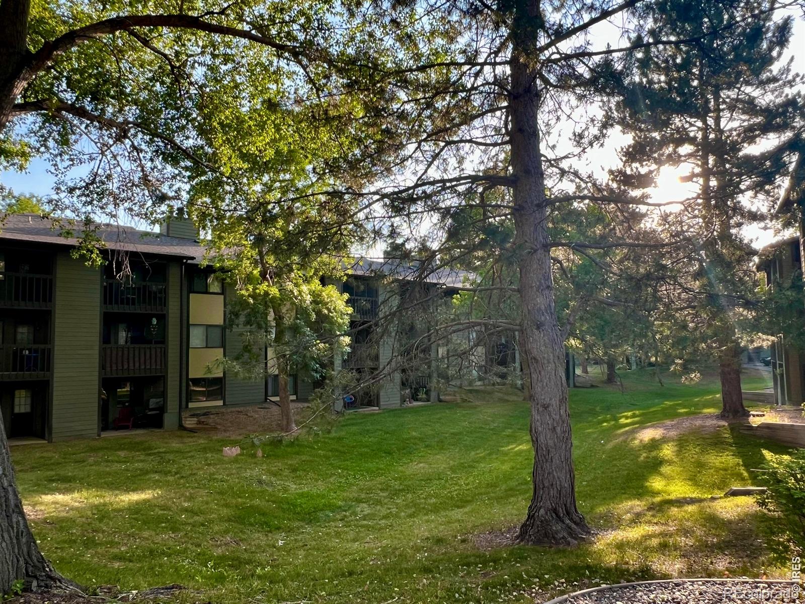 MLS Image #4 for 925  columbia road,fort collins, Colorado
