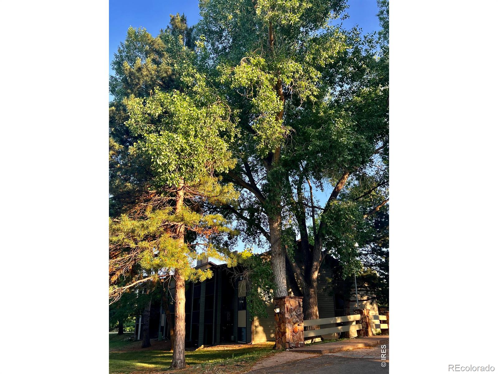MLS Image #5 for 925  columbia road,fort collins, Colorado